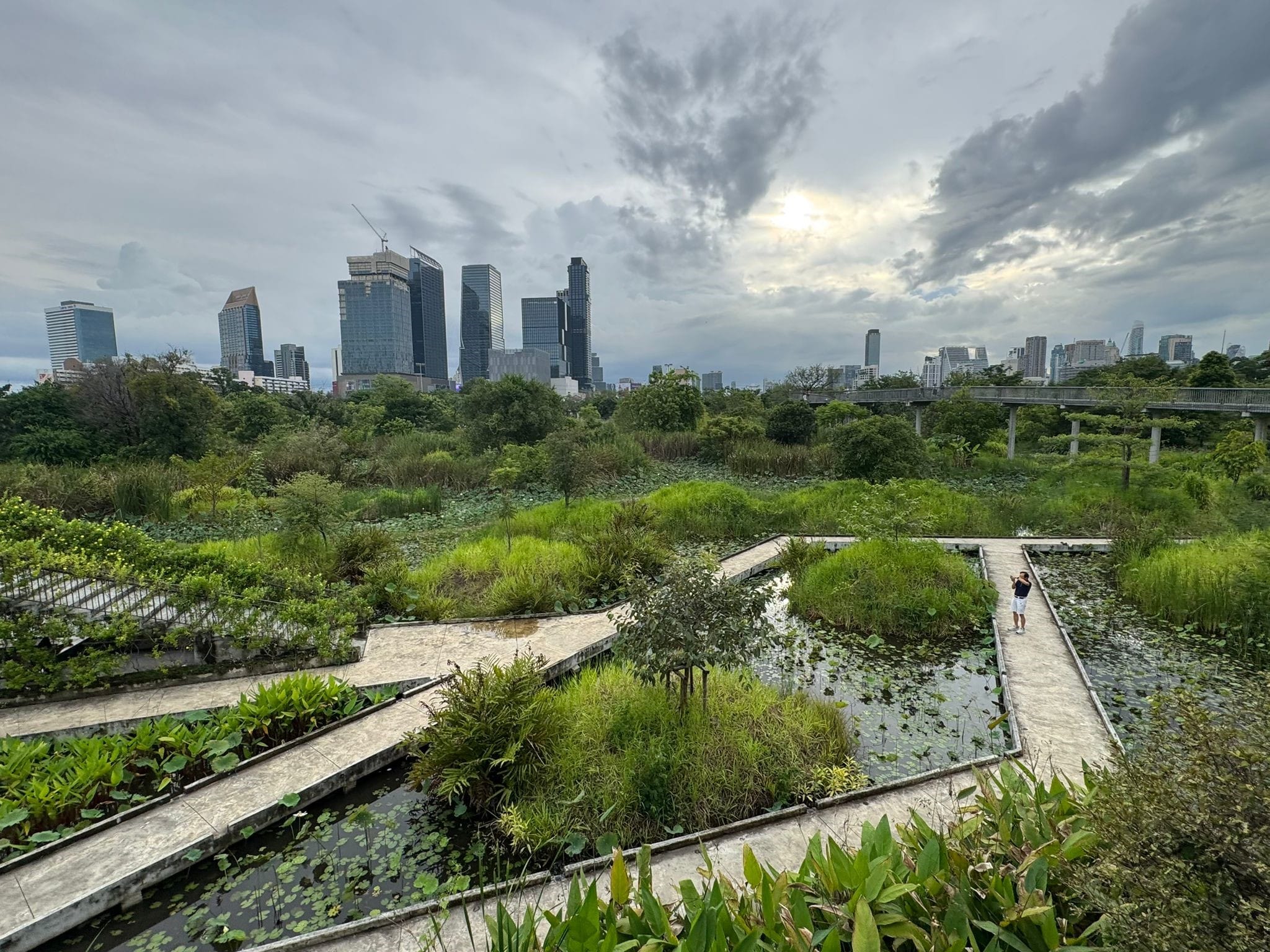 Photo of the greenery at Benjakitti Park